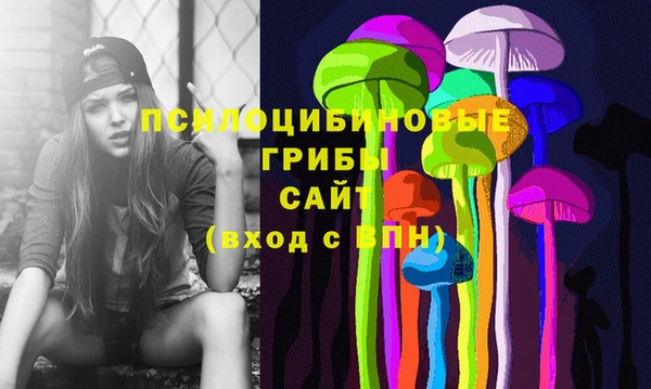 мяу мяу мука Елабуга