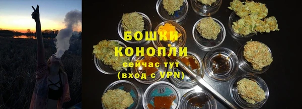 мяу мяу мука Елабуга